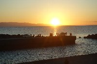 2025�N���U�@�����̏o